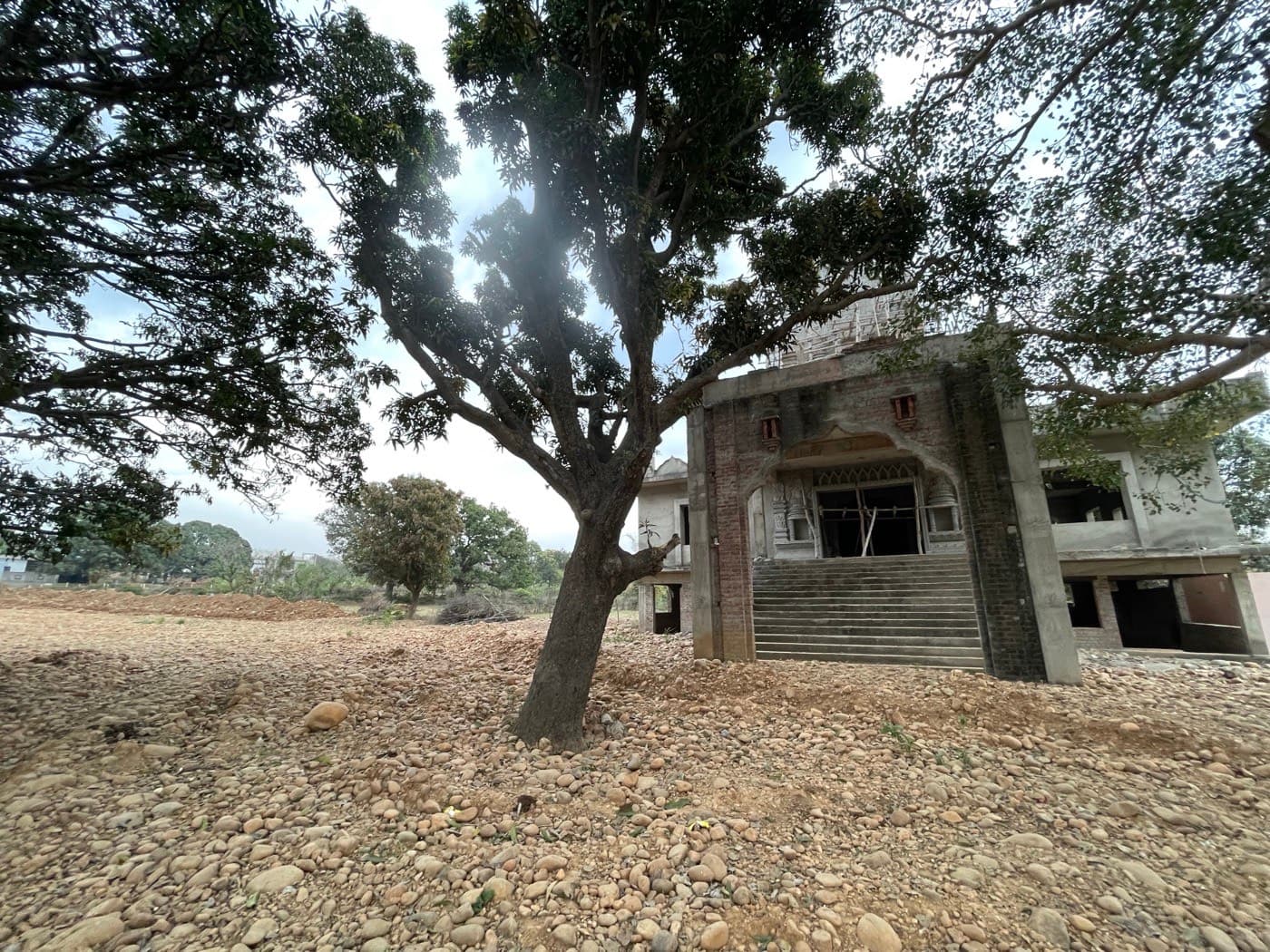 Temple Grounds